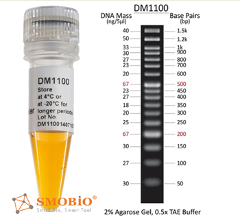 Smobio ExcelBand DNA Ladder