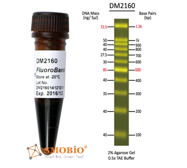 Smobio FluoroBand DNA Ladder