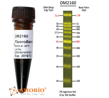 Smobio FluoroBand DNA Ladder