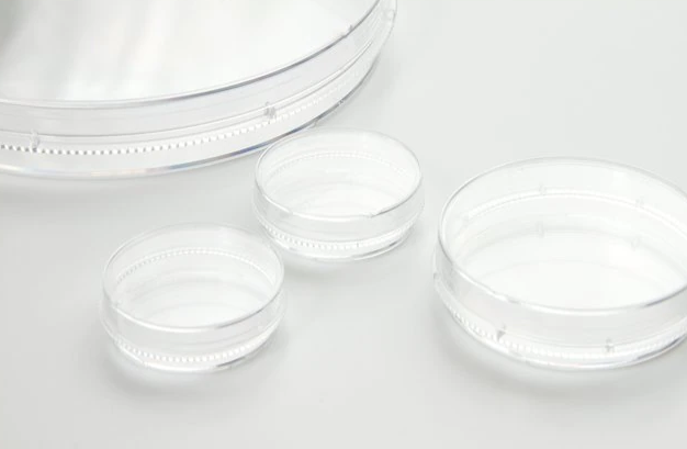 Fisherbrand 培養皿