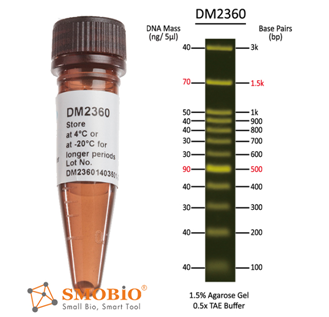 Smobio FluoroBand DNA Ladder