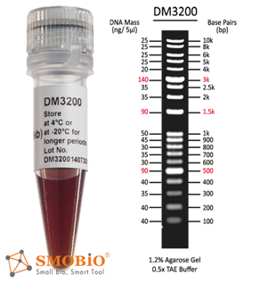 Smobio ExcelBand DNA Ladder