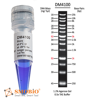 Smobio ExcelBand DNA Ladder