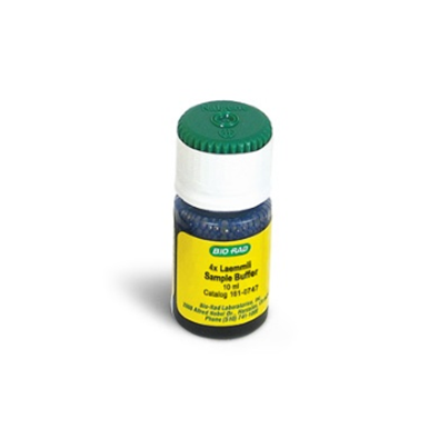 4X LAEMMLI SAMPLE BUFFER | 伯新科技股份有限公司