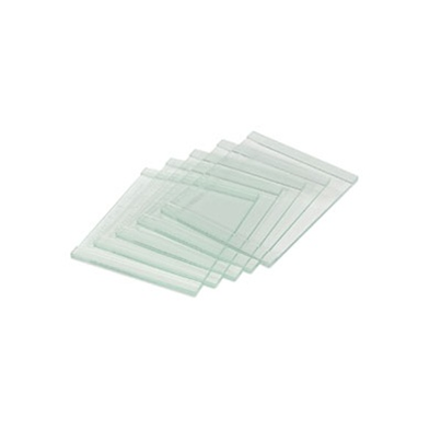 MINI-PROTEAN® 厚玻璃含1.5 MM整合墊片