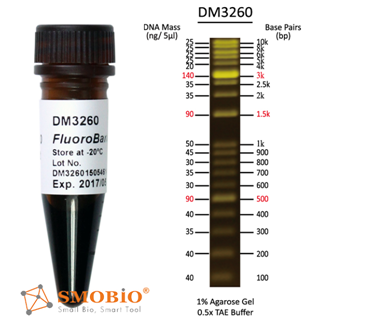 Smobio FluoroBand DNA Ladder