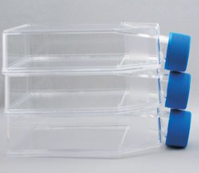 Labserv Tissue culture flasks