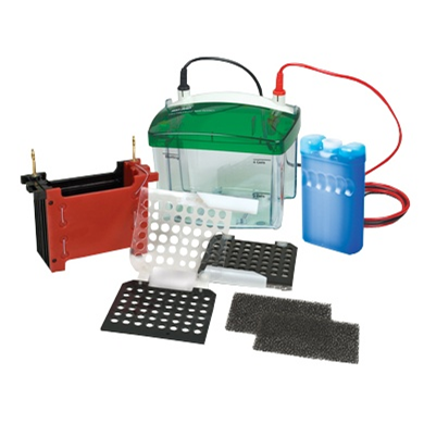 小型全濕式轉漬槽