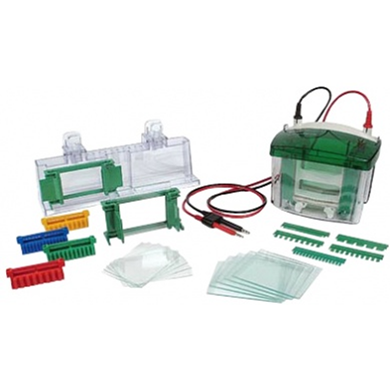 小型垂直電泳槽