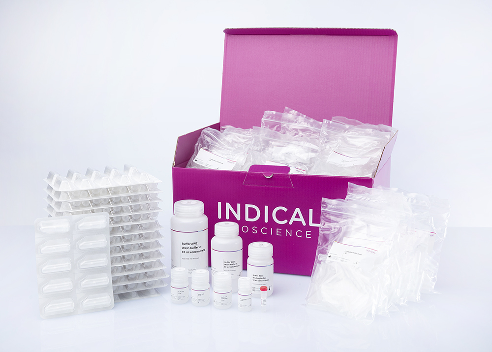 IndiSpin Pathogen Kit