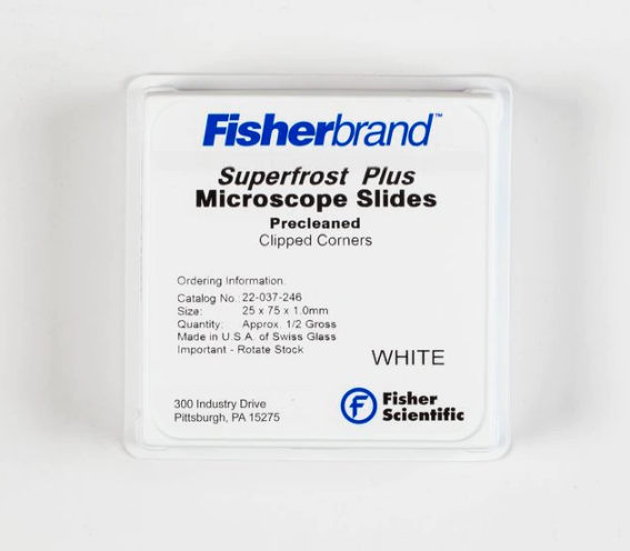 Fisherbrand Superfrost Plus Microscope Slides