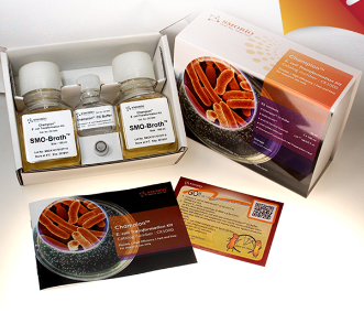 Smobio Champion  E. coli Transformation Kit, 200 Rxn
