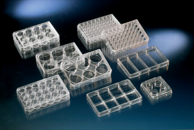 Nunc™ 細胞培養孔盤 