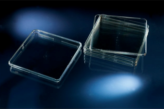 24.5cm方形細胞培養皿(Delta)