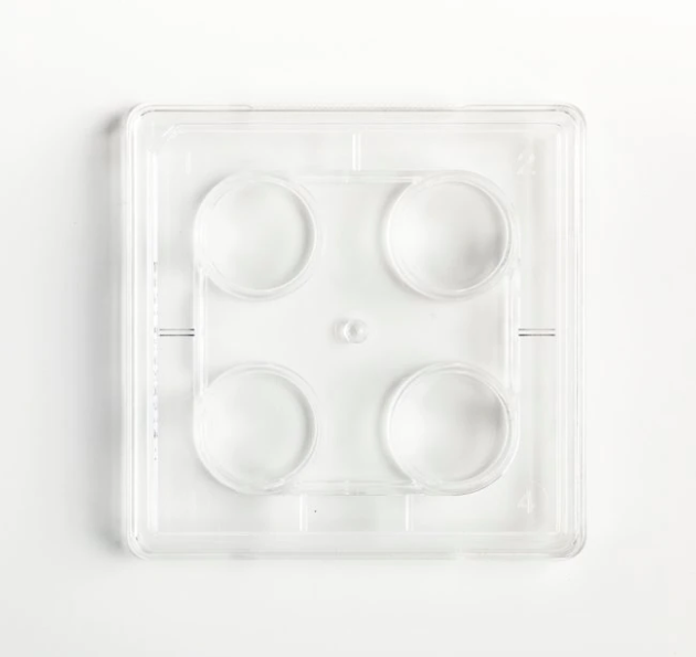 Fisherbrand 培養盤