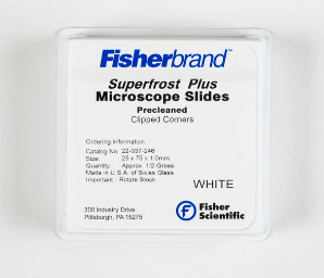 Fisherbrand Superfrost Plus Microscope Slides