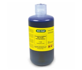COOMASSIE BRILLIANT BLUE R-250 STAINING SOLUTIONS KIT 