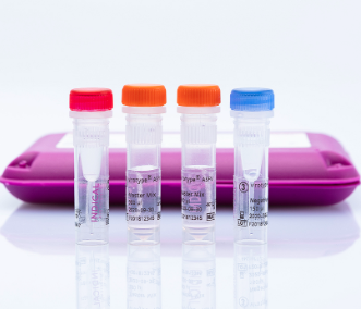 Virotype ASFV PCR Kit