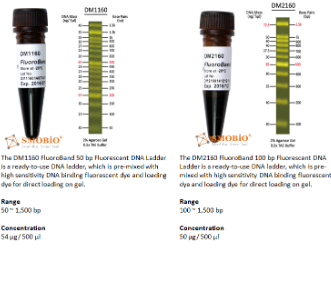 Smobio FluoroBand DNA Ladder