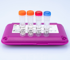 Virotype PRRSV RT-PCR Kit